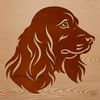 Cocker Spaniel dog breed head illustration in vector format.