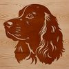 A close-up vector illustration of a Cocker Spaniel's head, suitable for pet owners or animal lovers.