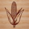 Free Corn Illustration for Graphic Design A detailed illustration of a corn on the cob, suitable for various graphic designs.