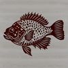 Wild Fish Design for Cutting Machines A detailed illustration of a Crappie fish, suitable for vector designs and cutting machine projects.