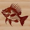 Freshwater Fish Vector Design A detailed illustration of a freshwater crappie fish, suitable for vector design and commercial or personal projects.