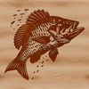 Detailed Vector Crappie Design A detailed illustration of a crappie fish, suitable for vector design projects.