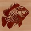 A detailed illustration of a freshwater Crappie fish, suitable for vector graphics and cutting machine applications.