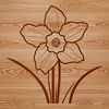 Beautiful Daffodil SVG Clip Art A digital illustration of a daffodil flower in vector format.