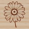 Beautiful Daisy Flower Vector Illustration A high-quality vector illustration of a daisy flower.