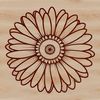 Detailed Daisies in Vector Format A detailed illustration of a white daisy flower with yellow center, suitable for vector design projects.