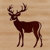 A Detailed Deer Illustration for Clip Art Use A detailed illustration of a deer in various poses for use as clip art or vector design.