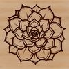 A detailed illustration of a succulent plant, suitable for gardening or decorative purposes.