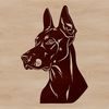 A detailed illustration of a Doberman Pinscher's head, rendered in vector format.