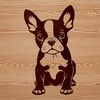 A cute sitting dog with a friendly expression, suitable as a vector art illustration.