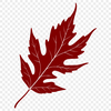 Beautiful Leaf Design A single leaf with detailed veins, suitable for vector design and cutting machine projects.
