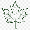 Stylized Leaf Vector Art Design A stylized illustration of a single maple leaf with detailed veins.
