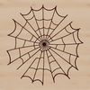 A delicate web pattern made up of intricate lines and shapes.