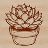 An illustration of a succulent plant, often used in gardening and floral designs.
