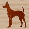 Doberman Illustration A standing dog breed illustration of a Doberman Pinscher in vector format.