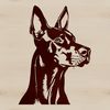 A high-quality digital illustration of a Doberman Pinscher's head, suitable for personal and commercial design projects.