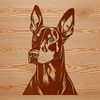 Vector Dog Portrait with Detailed Features An illustration of a Doberman Pinscher dog breed with detailed head and facial features.