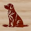 A golden-haired dog sitting on a surface, suitable as a vector design for various applications.
