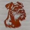 Miniature Schnauzer Dog Portrait A portrait of a Miniature Schnauzer breed dog's head, suitable for digital designs.