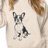 Cute Boston Terrier Vector Graphic A Boston Terrier sitting on the floor, illustrated as a vector graphic.