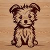 A small breed dog sitting on the ground with its legs folded under its body.