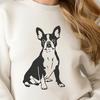A cute Boston Terrier sitting on its hind legs, suitable for use in various digital projects.