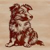 A portrait of a seated Shetland sheepdog with a gentle expression.