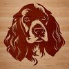 A close-up illustration of a Cocker Spaniel's head, showcasing the breed's distinctive features.