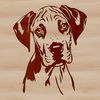 Majestic Great Dane Design A large Great Dane dog standing with its head held high.