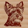 Small dog breeds with unique heads A small breed dog with a distinctive head and appearance, commonly kept as pets.