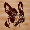 Boston Terrier Head Illustration Free Download A vector illustration of a Boston Terrier's head, suitable for digital design.