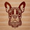 Ornate Boston Terrier Animal Design A detailed illustration of a Boston Terrier's head, suitable for vector design and commercial use.