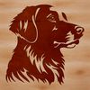 Friendly Furry Friend Graphic A golden-colored dog with a fluffy head and friendly expression, suitable for various uses.