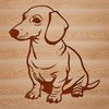Adorable Dachshund Vector Graphic A cartoon-style illustration of a sitting dachshund dog in vector format.