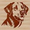Close-up illustration of a dog's head from the side, identified as a Labrador Retriever breed.