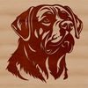 Rottweiler Vector Illustration Free Download A vector illustration of a Rottweiler's head, designed for commercial and personal use.