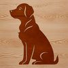 A Labrador Retriever sitting in a relaxed position, suitable for use as clip art or vector design.