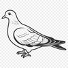 Free Vector Bird Image Download A simple white dove perched on a branch, created as a vector art design.