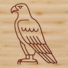 A simple line drawing of a wild animal, specifically an eagle, perched on a branch.