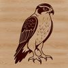 Free Falcon Outline Art for Commercial Use Falcon bird silhouette in vector art format.