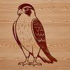 Beautiful Vector Falcon Design A highly detailed vector illustration of a falcon in flight.