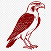 Falcon SVG Cutting File Design A vector illustration of a falcon in flight, suitable for cutting machines or laser engraving.