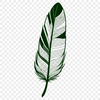Stylized Feather Graphic A simple design element featuring a stylized feather with clean lines and minimal details.