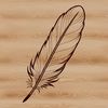 A detailed illustration of a single feather with layered edges, suitable for vector design or clip art.
