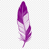 Elegant Feather Design A single feather with smooth lines and defined shape, suitable for digital cutting or vector design projects.