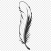 Decorative Feather Illustration A high-quality vector illustration of a single feather in various styles.