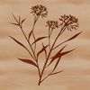 Beautiful Nature SVG Graphics A high-resolution vector drawing of a wild flower suitable for various digital designs.