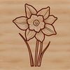 Daffodil Vector Art A single daffodil flower with trumpet-shaped blooms in full color, suitable for use as vector art or clip art.