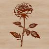 A stylized rose illustration suitable for vector graphics design.