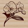 Realistic Orchid Close-up in Vector Format Close-up illustration of a delicate orchid flower in a realistic style.